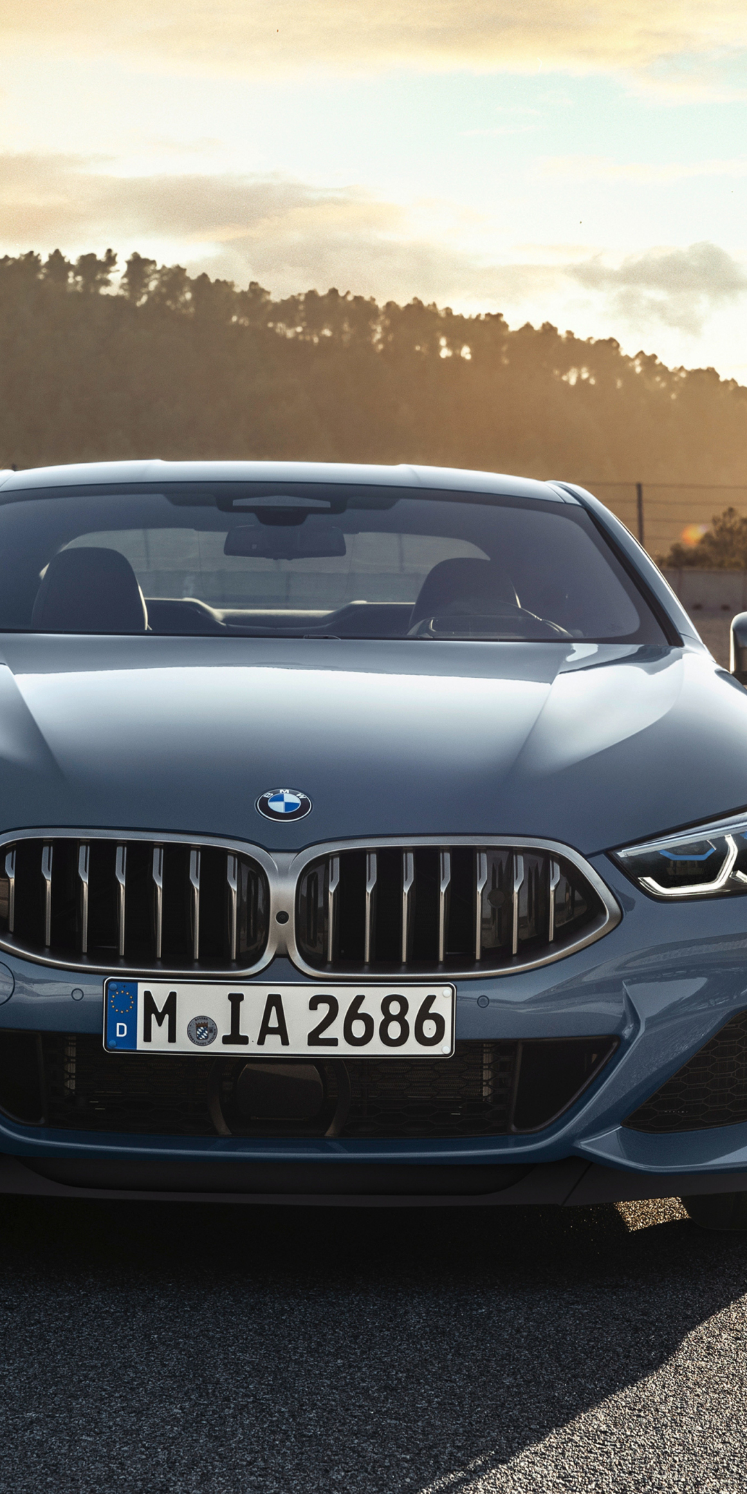 2019, BMW M850i xDrive, front, 1080x2160 wallpaper