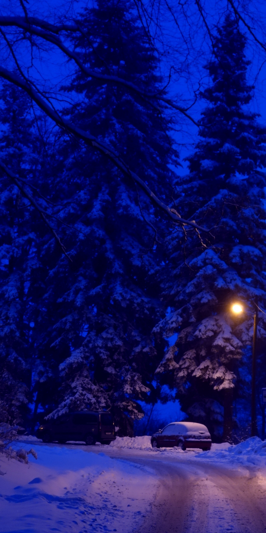 Winter, night, street lights, road, 1080x2160 wallpaper