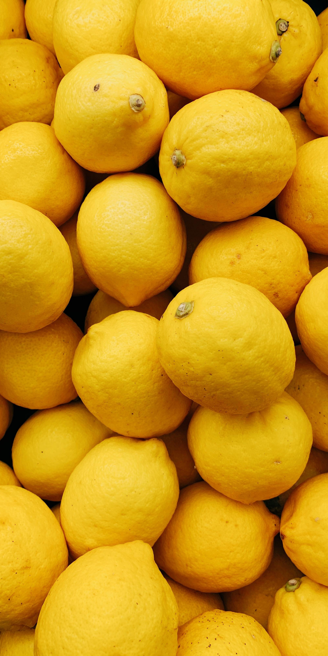 Lemons, citrus fruit, 1080x2160 wallpaper
