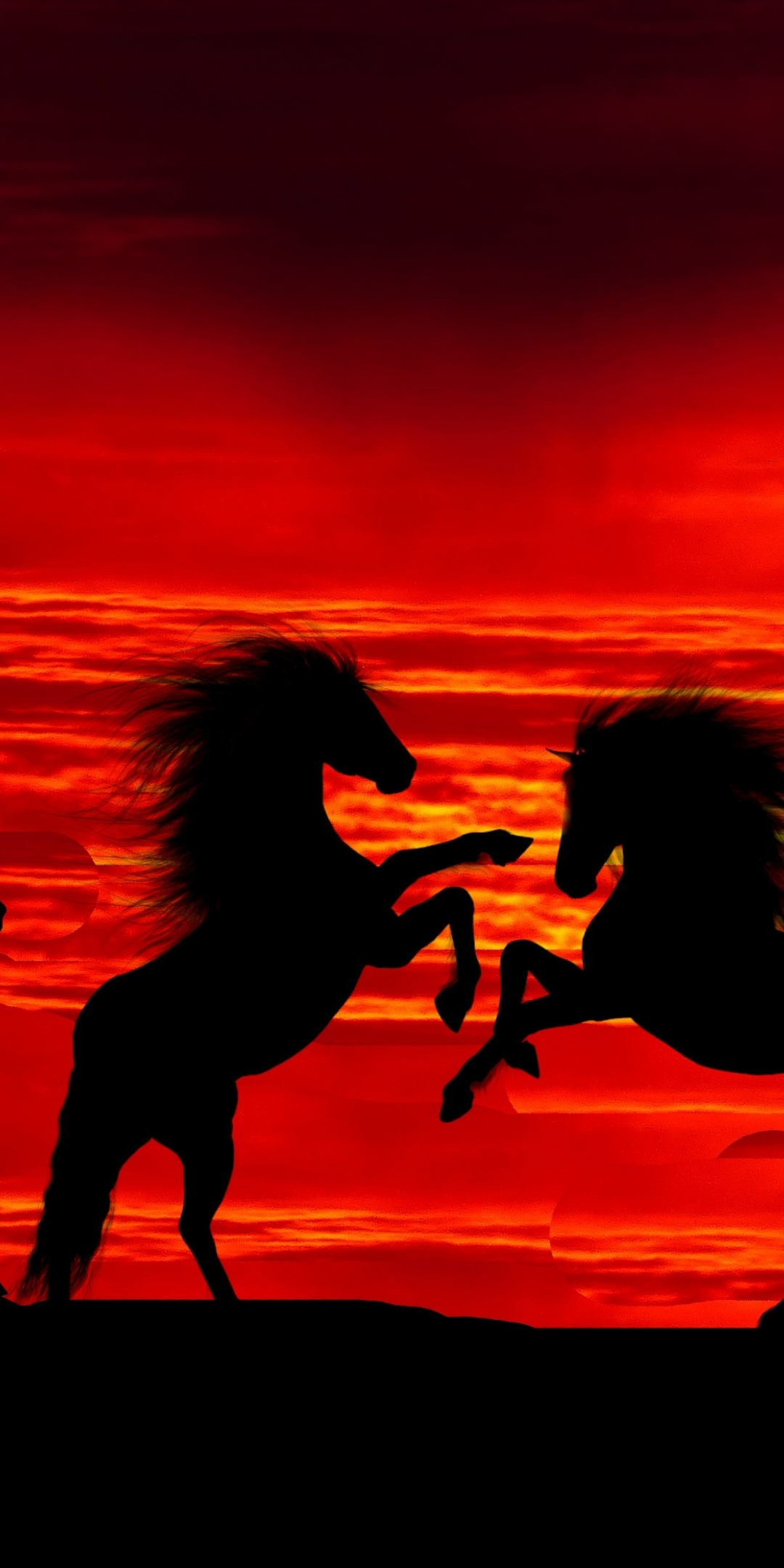 Sunset, silhouette, horses, herd, 1080x2160 wallpaper