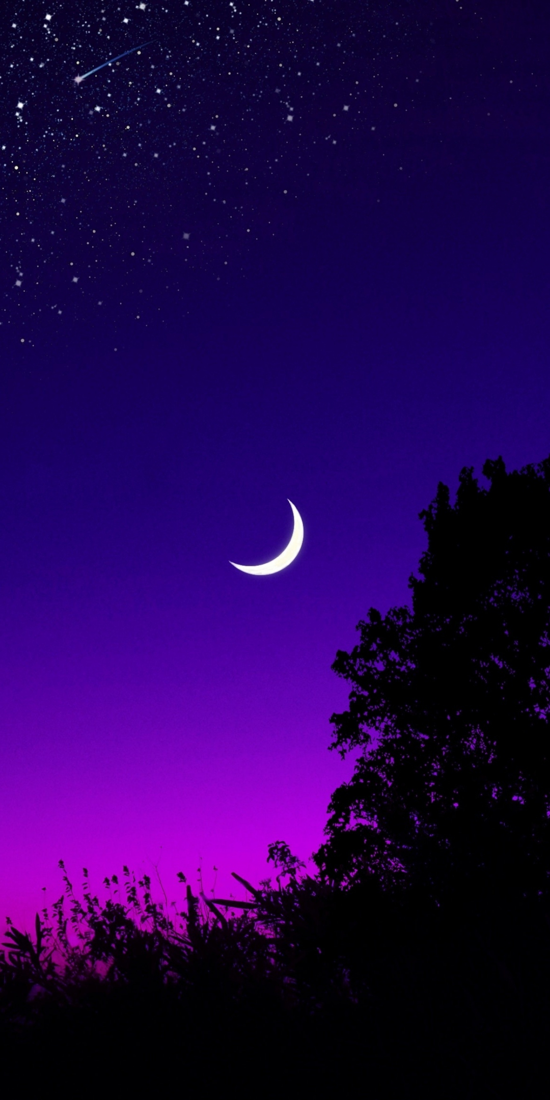 Moon, tree, starry night, silhouette, minimal, 1080x2160 wallpaper