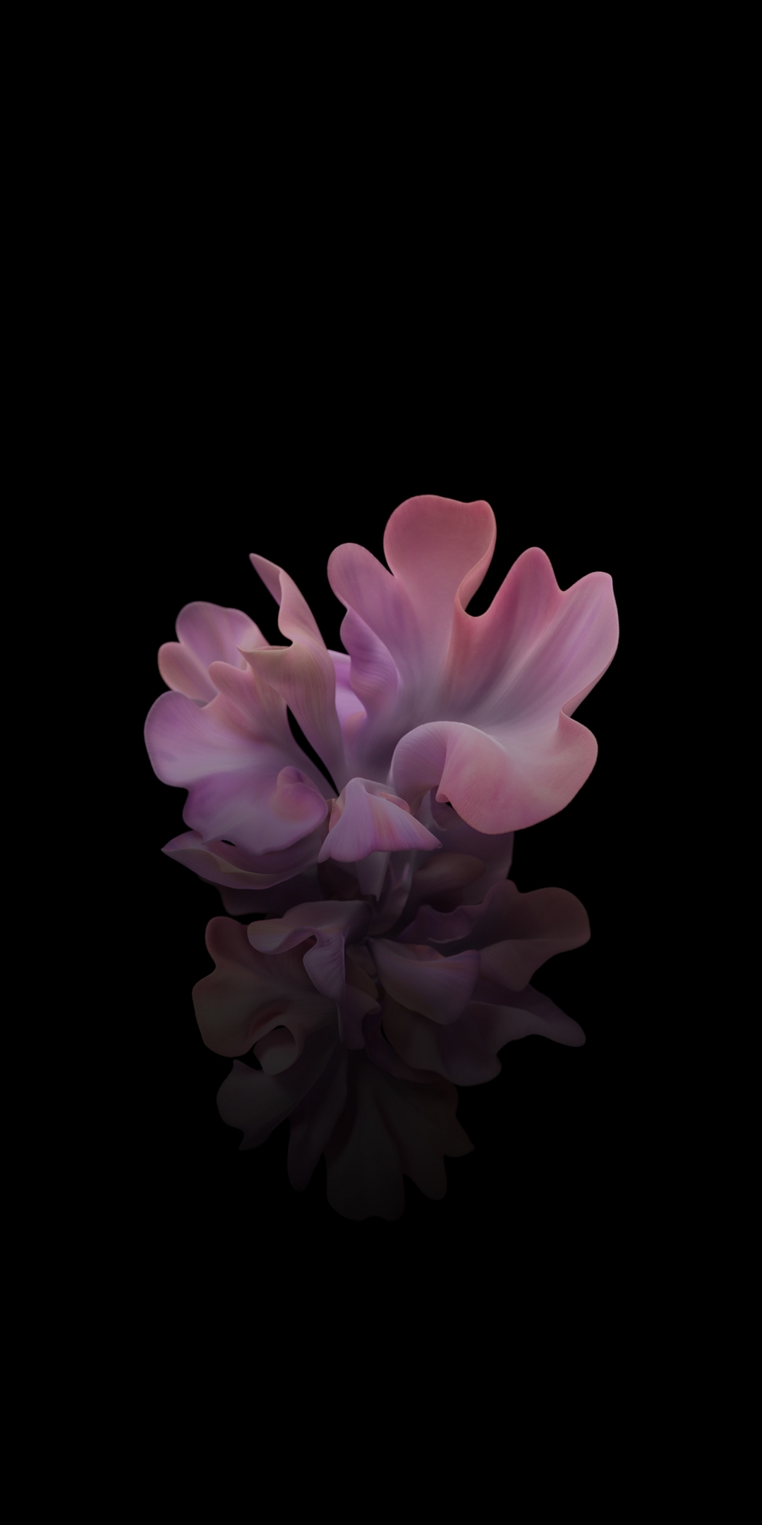 Pink flower, reflections, stock, 1080x2160 wallpaper