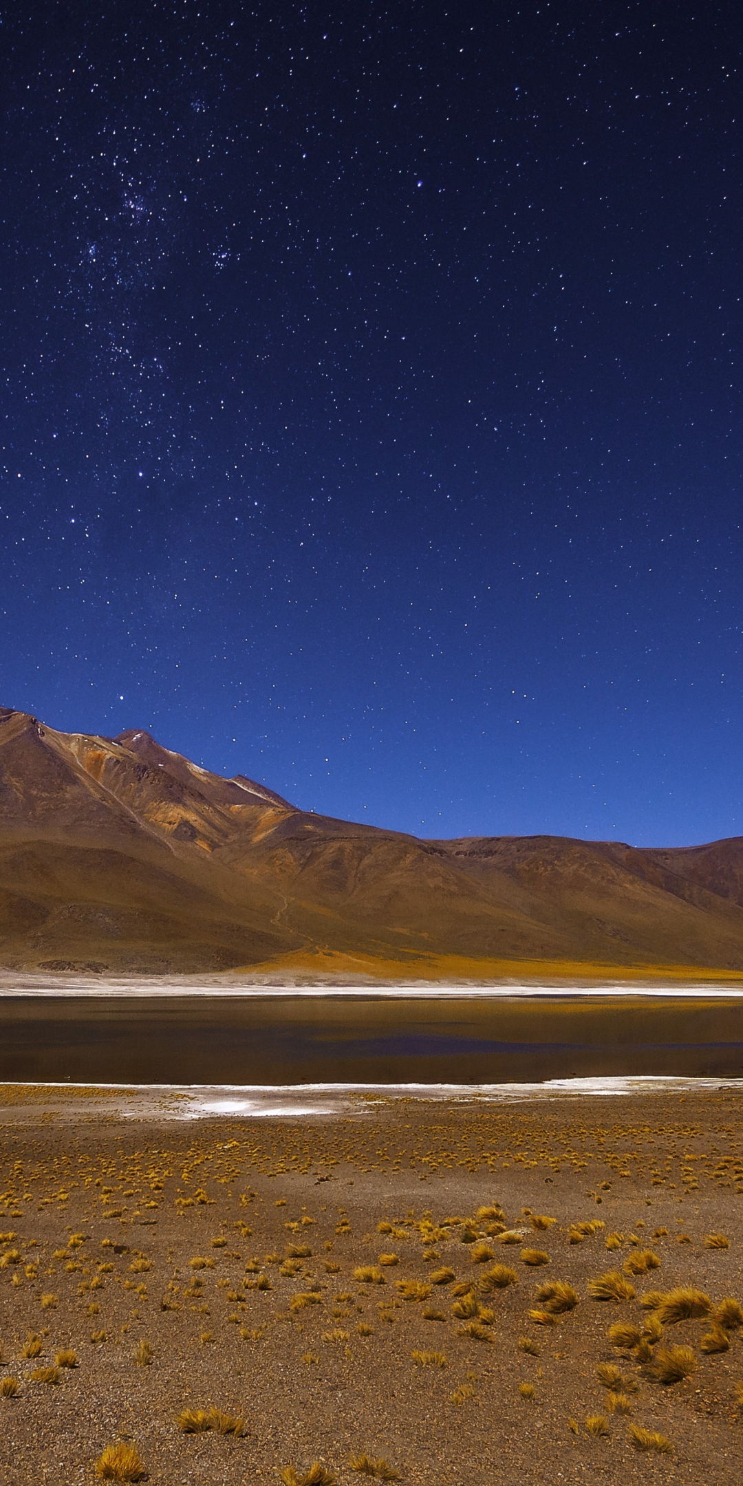 Chile, lagoon, lake, mountains, landscape, starry night, 1080x2160 wallpaper