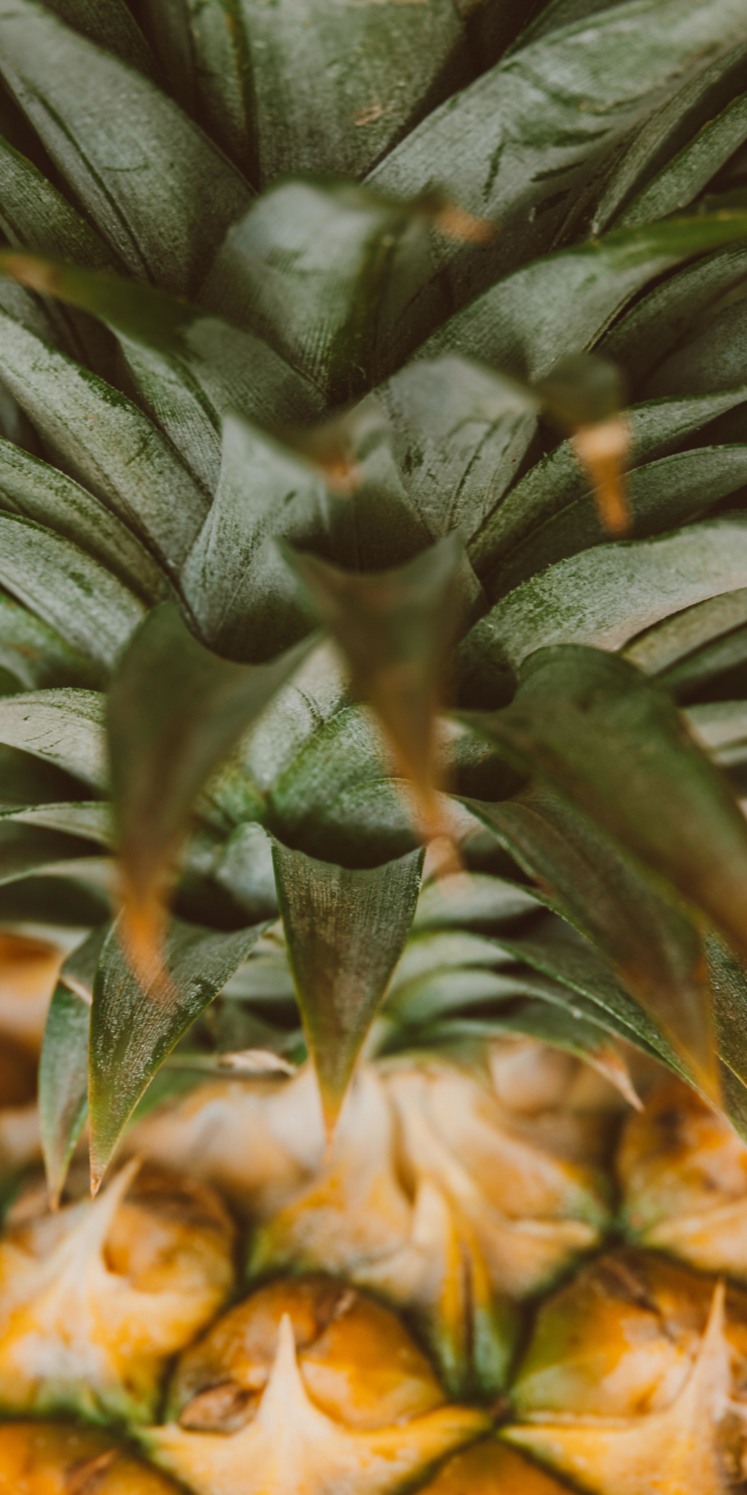 Pineapple, fruit, close up, leaves, 1080x2160 wallpaper