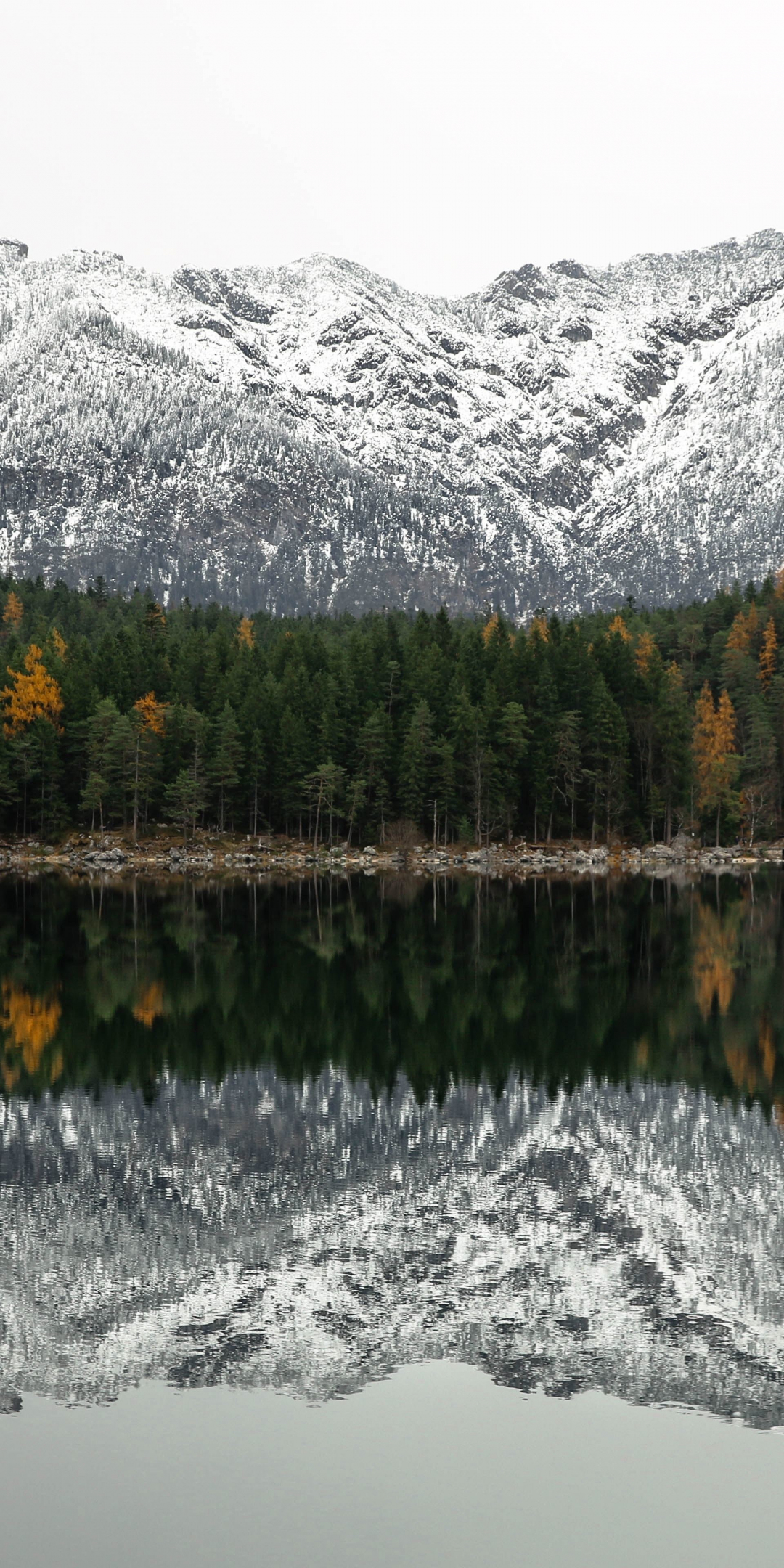 Mountains, reflections, lake, tree, 1080x2160 wallpaper