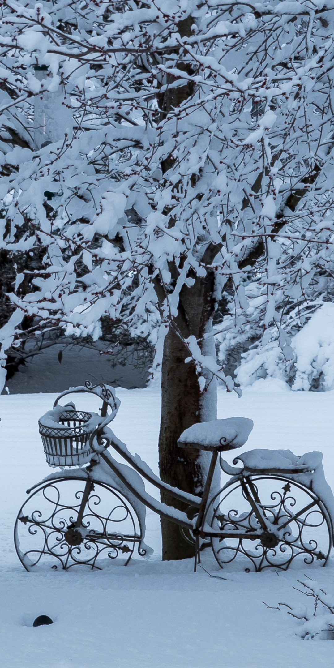 Winter, tree, bicycle, snowfall, 1080x2160 wallpaper