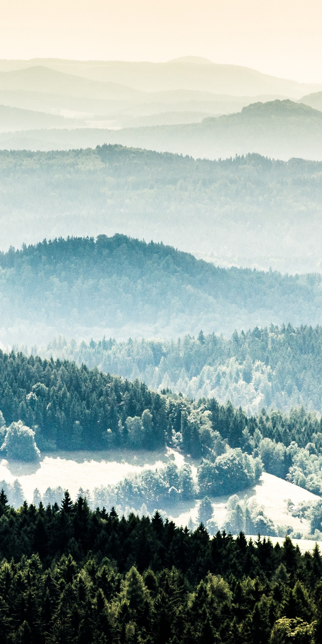 Foggy day, horizon, mountains, nature, 1080x2160 wallpaper