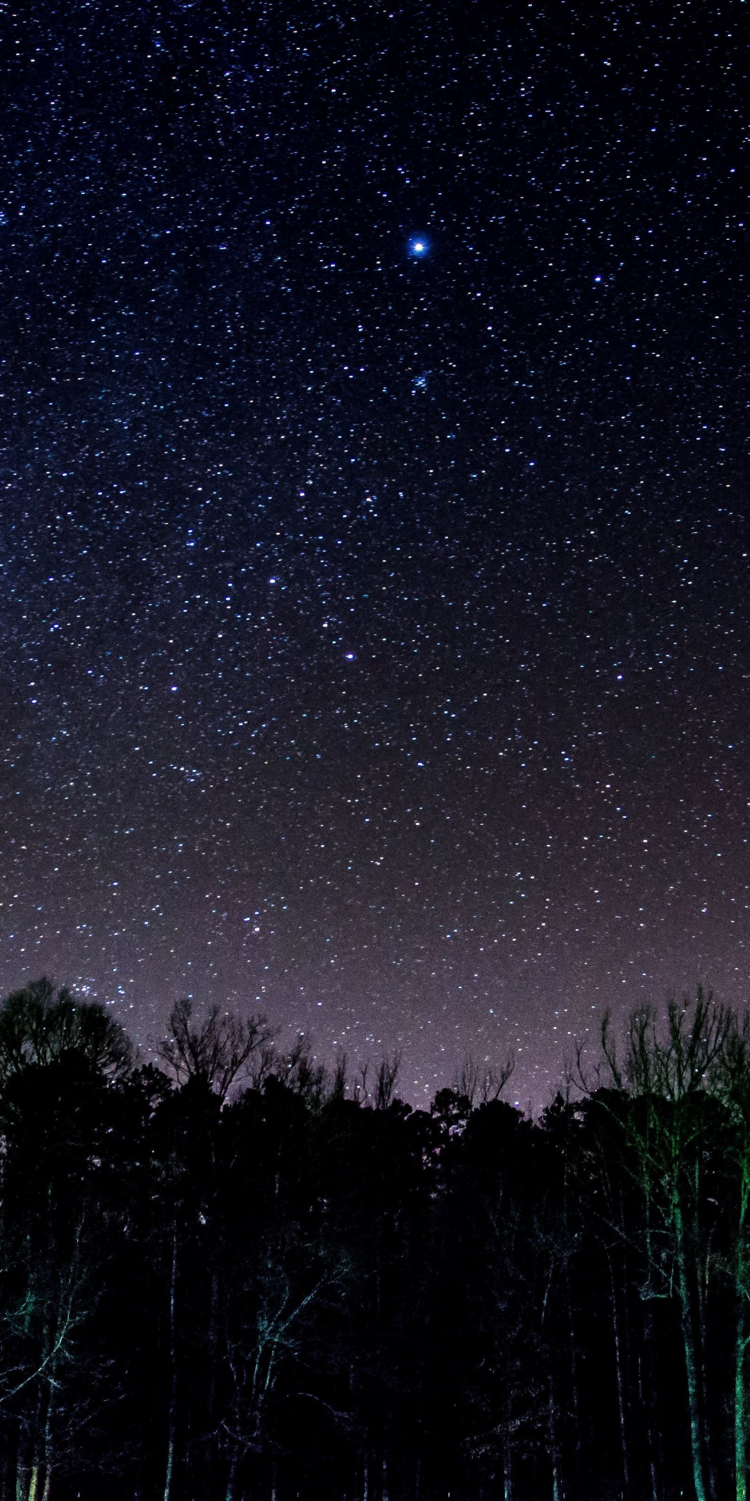 Starry night, stars, sky, trees, 1080x2160 wallpaper