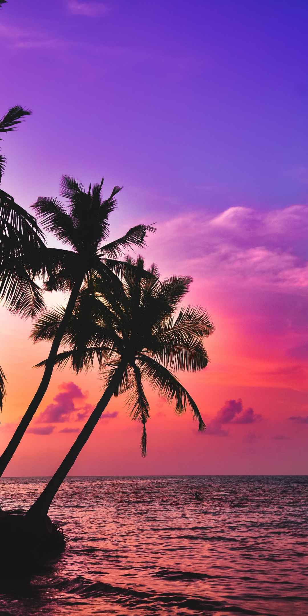 Tropical island, beach, pink sky, sunset, palms, 1080x2160 wallpaper
