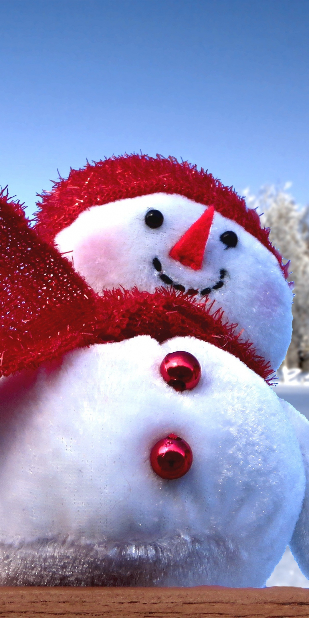 Snowman, winter, fun, holiday, 1080x2160 wallpaper
