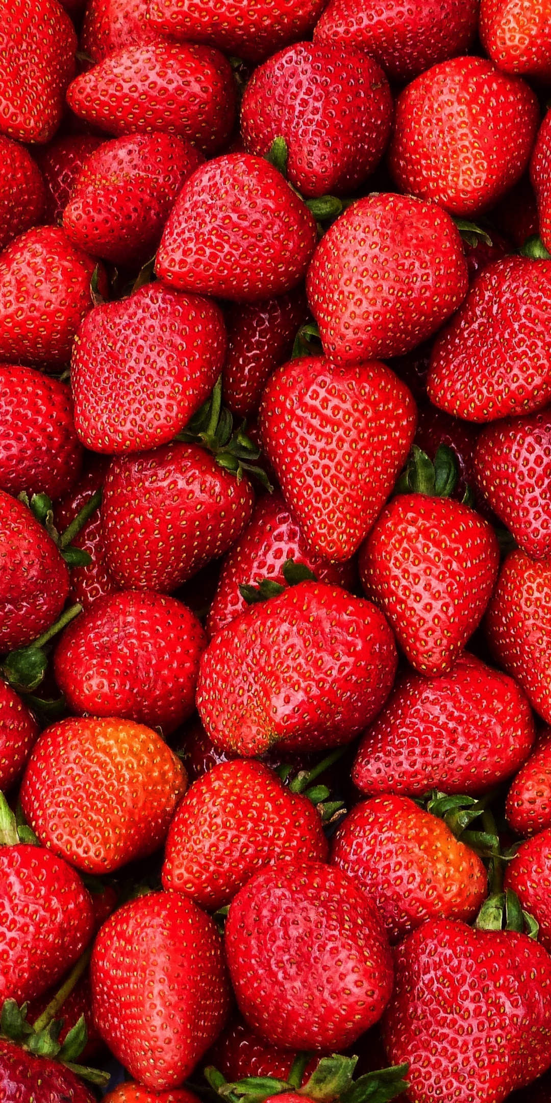 Strawberries, berries, fruit, red, 1080x2160 wallpaper