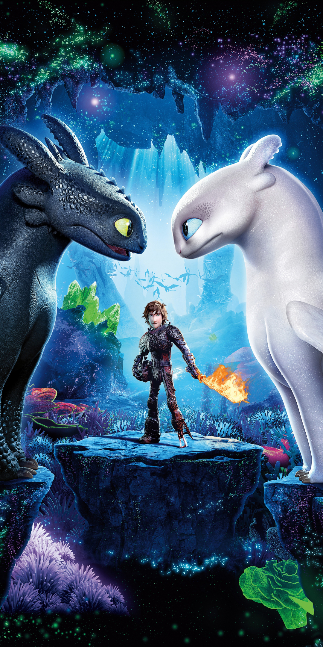 Animated movie, 2019, How to Train Your Dragon: The Hidden World, 1080x2160 wallpaper