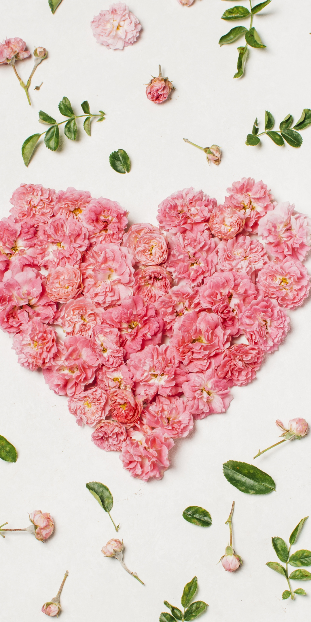 Download 1080x2160 wallpaper heart, pink flowers, leaves, honor 7x, honor 9 lite, honor view 10