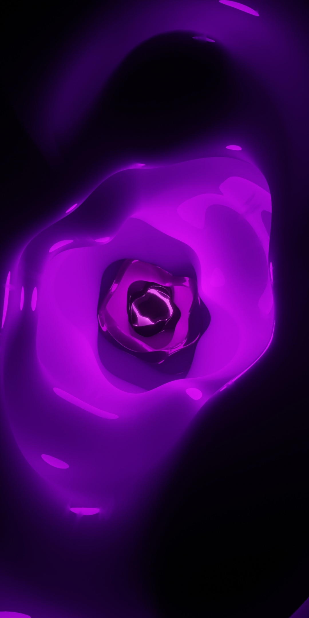 Purple, blossom, rose, close up, 1080x2160 wallpaper