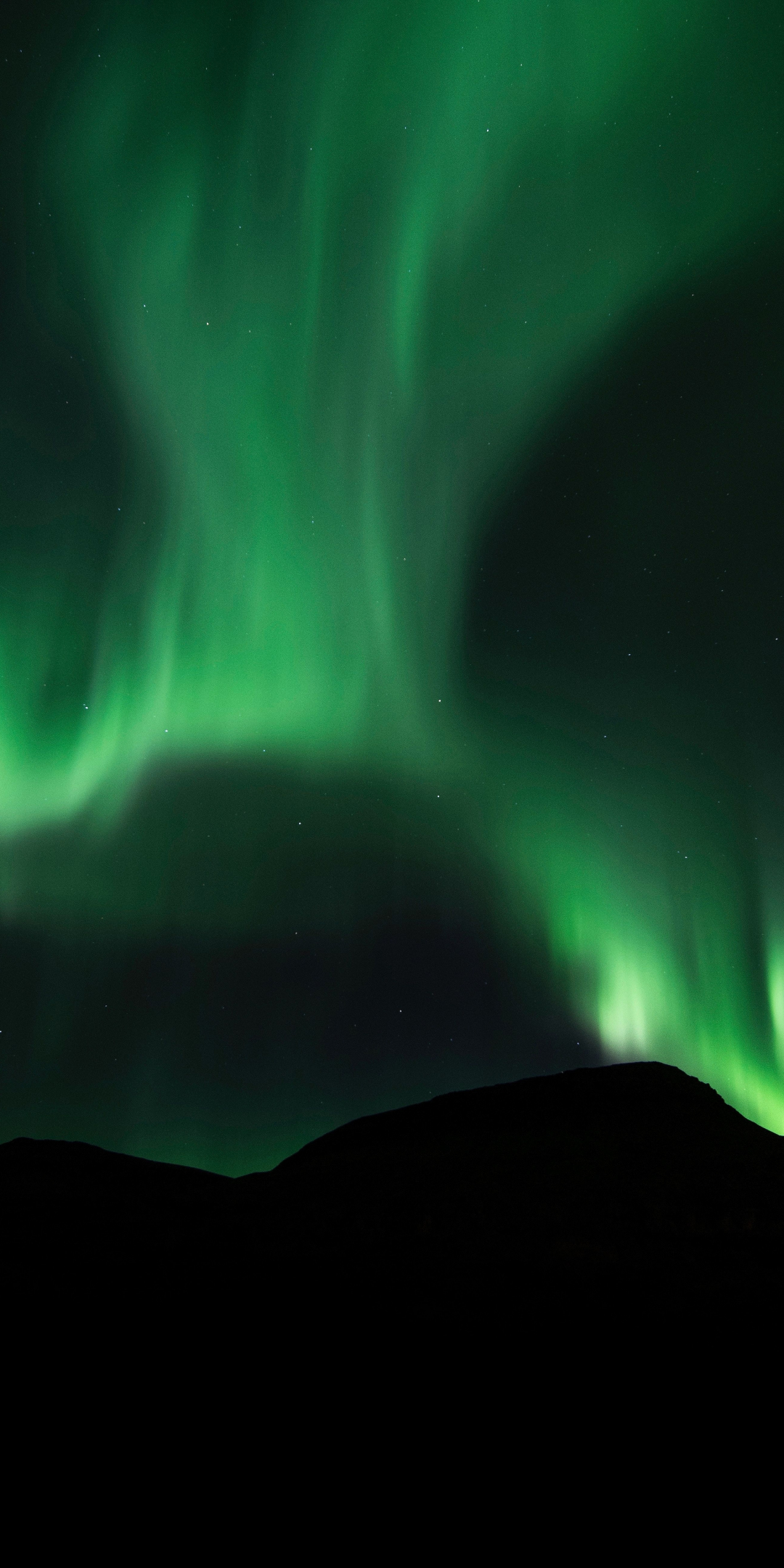 Sky, green lights, Aurora Borealis, silhouette, 1080x2160 wallpaper