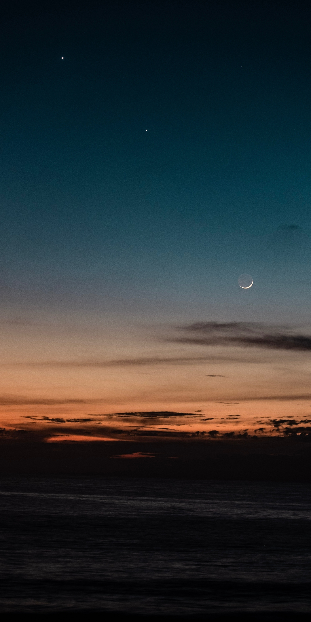 Evening, silhouette, sky, nature, moon, 1080x2160 wallpaper