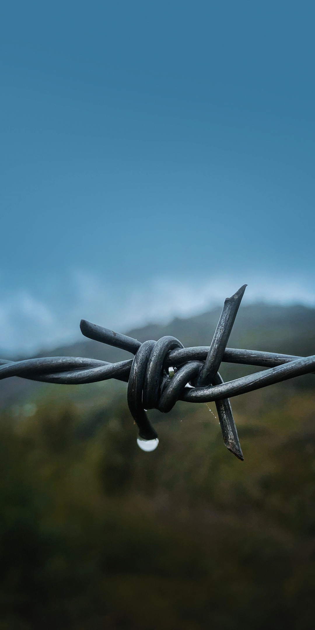 Close up, Barbed wire, 1080x2160 wallpaper