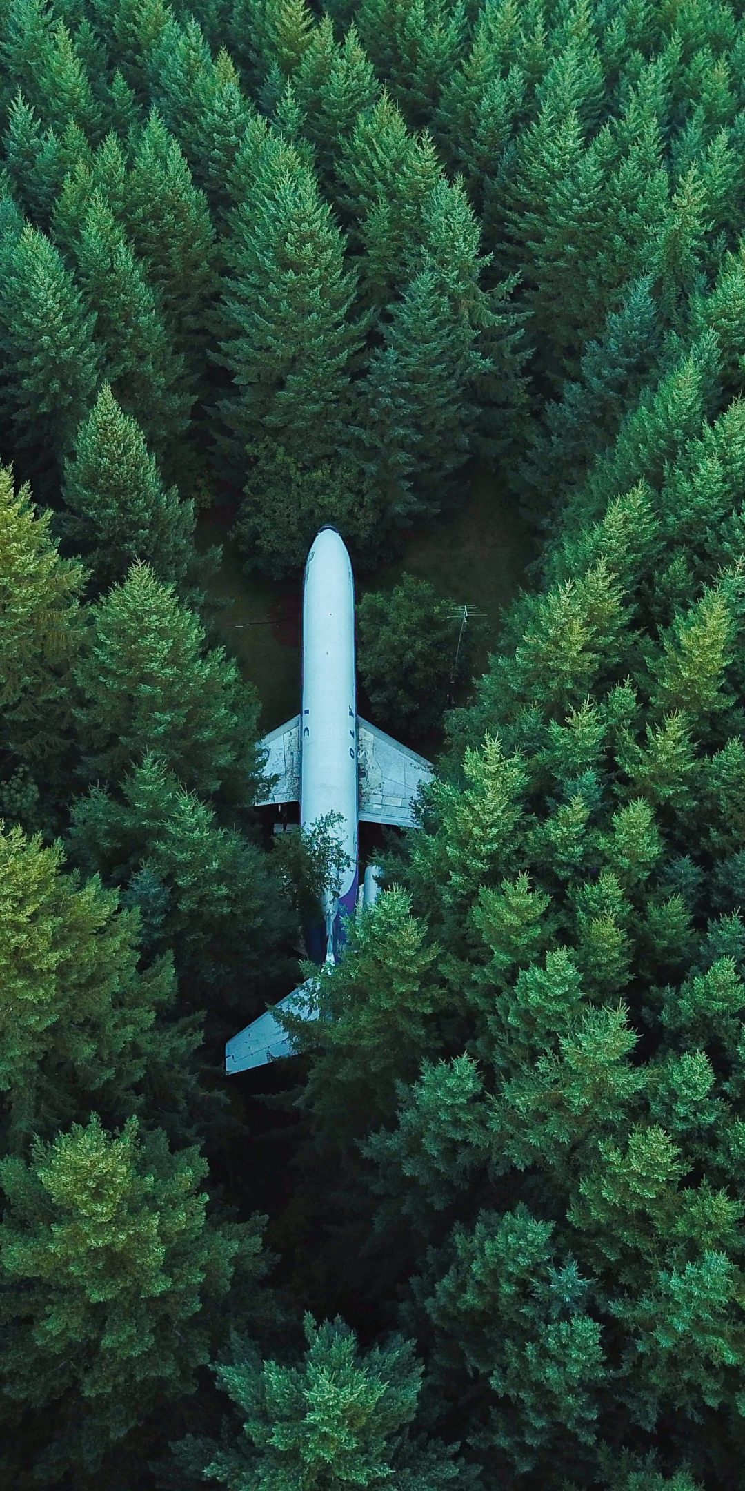 Airplane, aircraft, trees, aerial view, 1080x2160 wallpaper