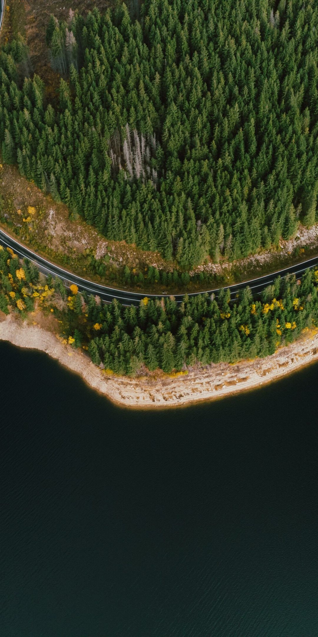 Curvy coast, road, aerial view, nature, 1080x2160 wallpaper