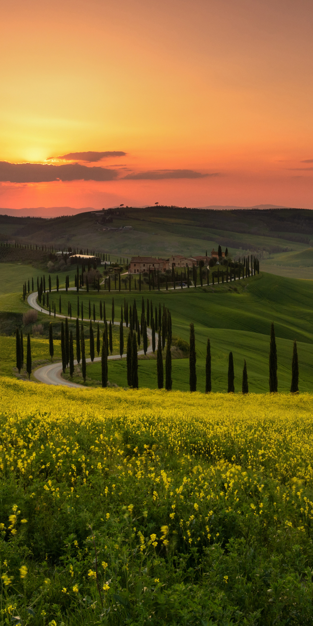 Tuscany, meadow, pathway, sunset, 1080x2160 wallpaper