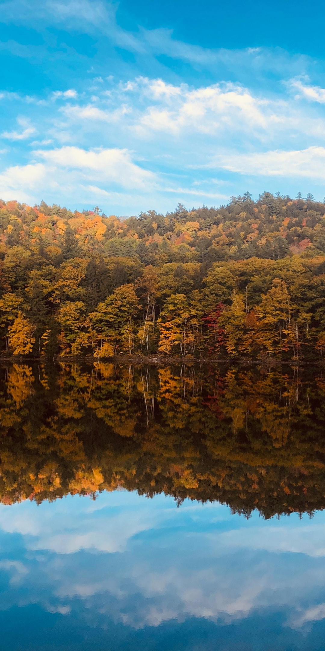 Fall, autumn, lake, trees, reflections, nature, 1080x2160 wallpaper