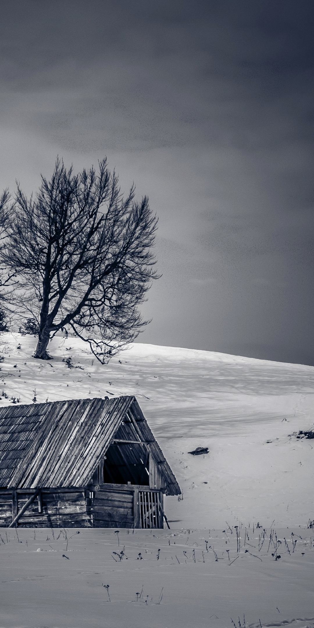 Landscape, cottage, winter, tree, 1080x2160 wallpaper