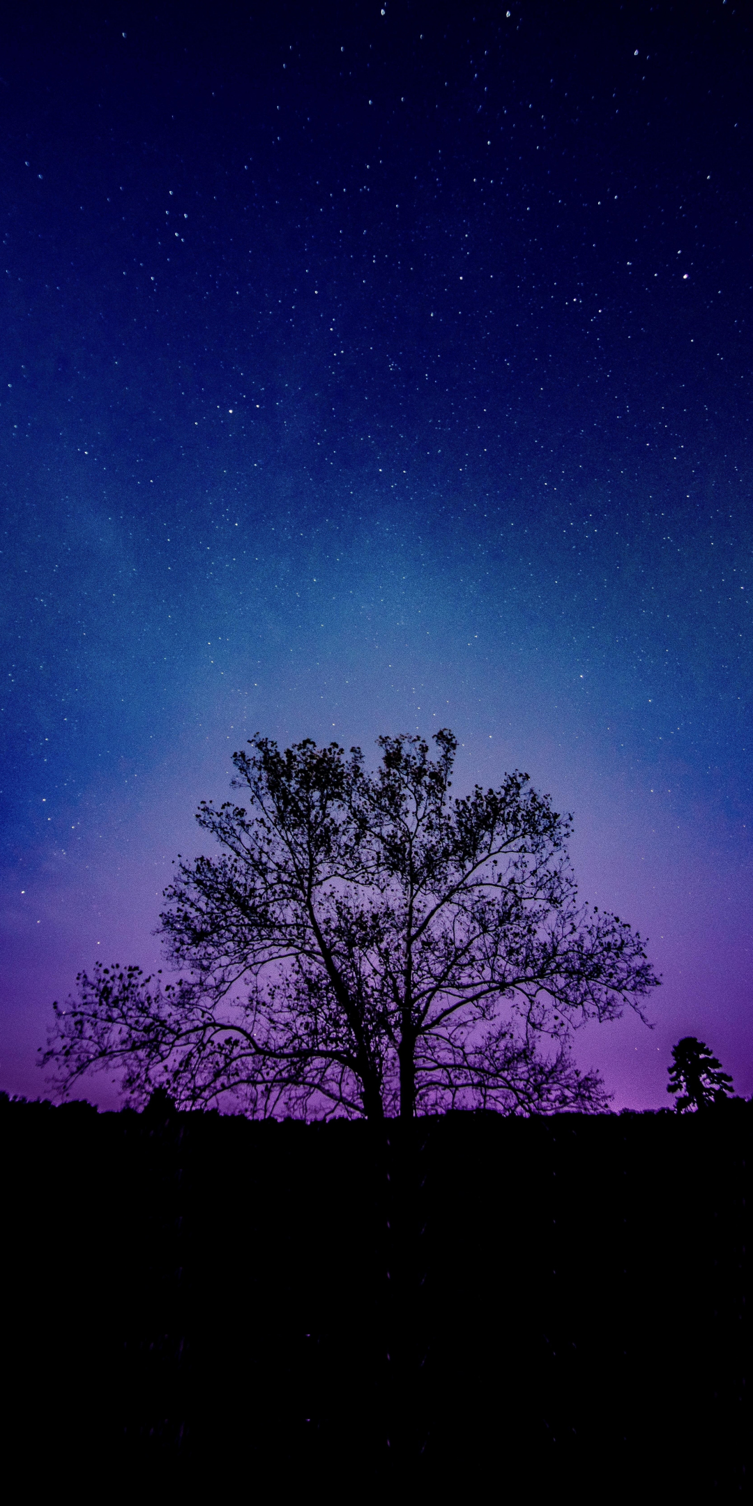 Tree, galaxy, sky, silhouette, 1080x2160 wallpaper