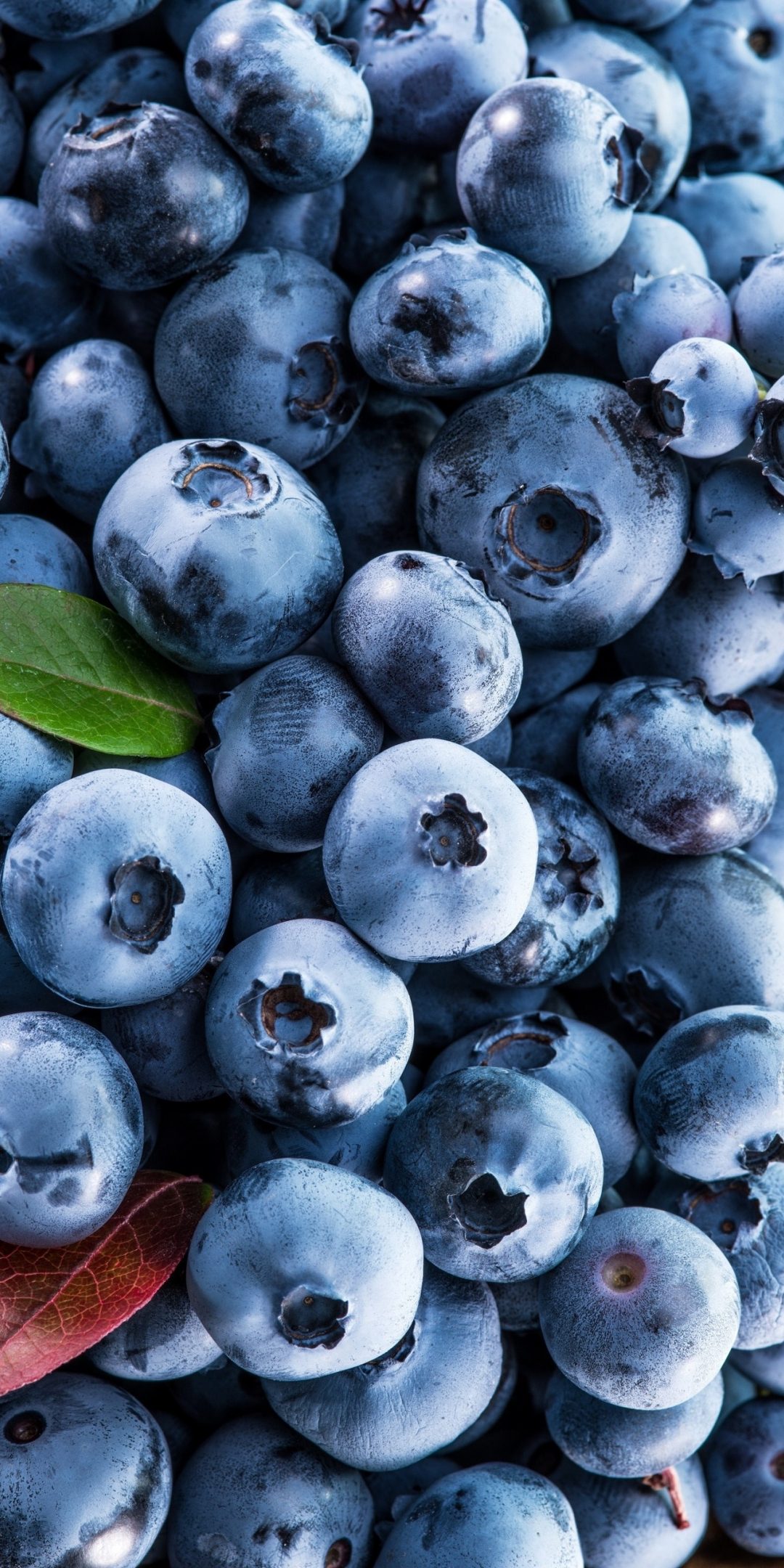 Berries, fruits, blueberries, 1080x2160 wallpaper