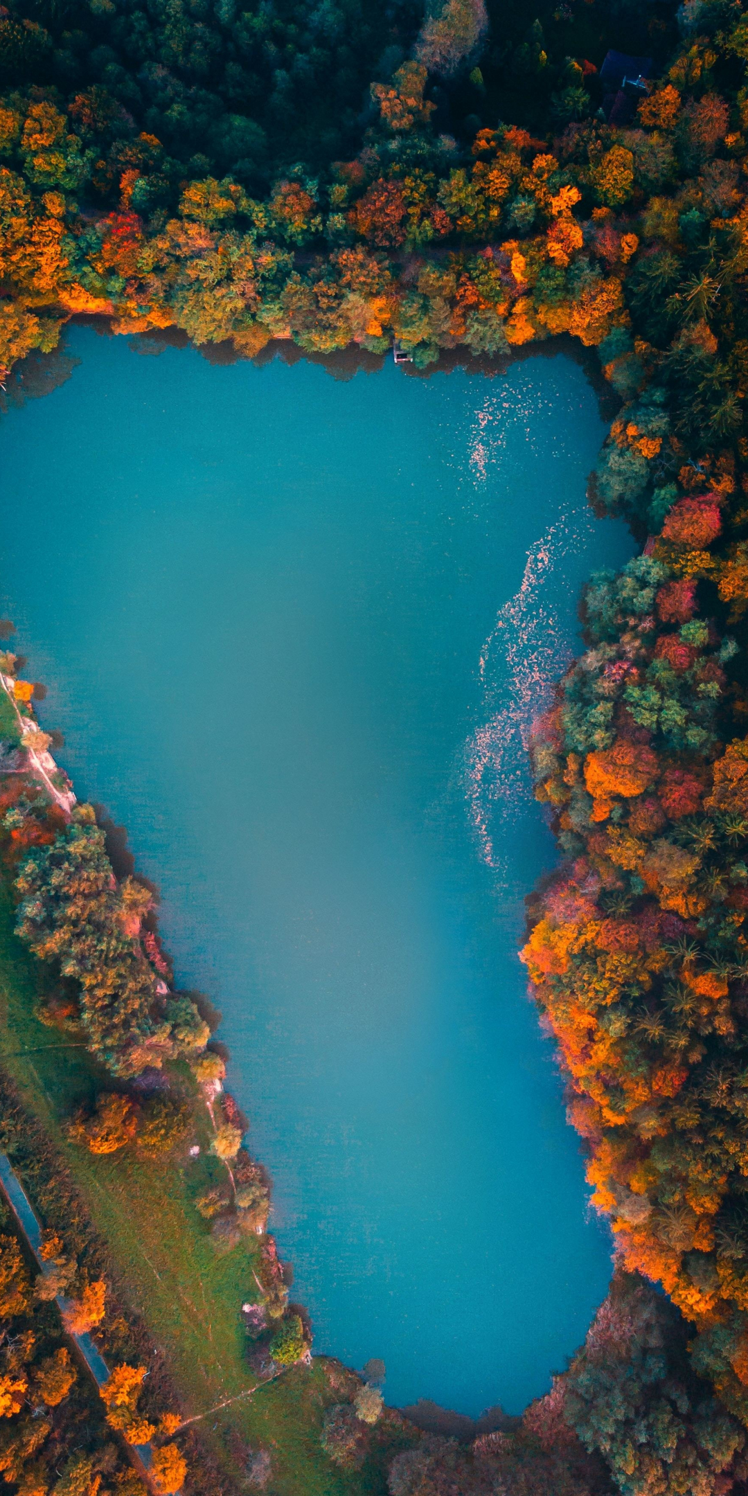 Lake, trees, aerial view, colorful, autumn, 1080x2160 wallpaper
