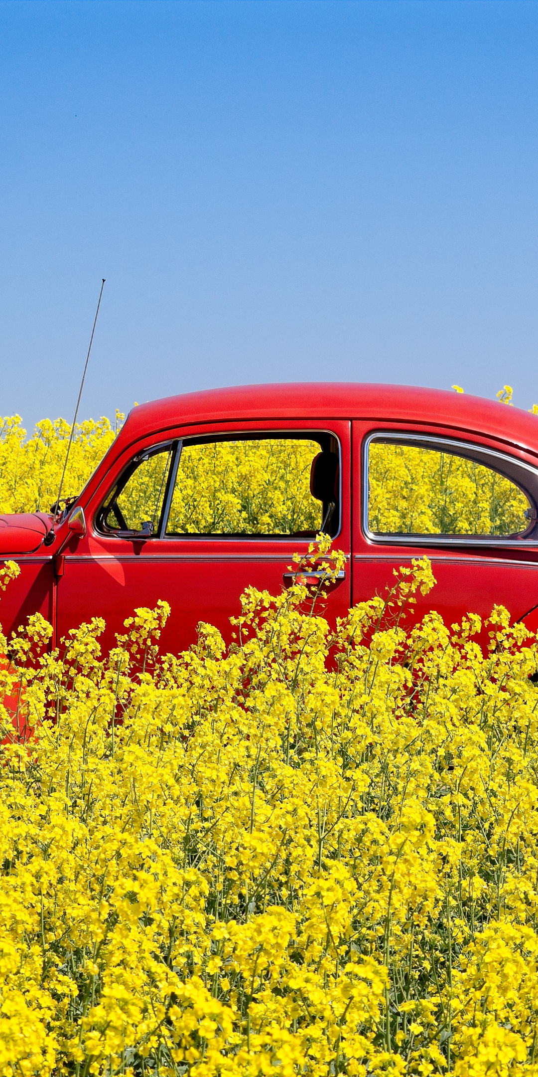 Red VW classic car, farm, 1080x2160 wallpaper