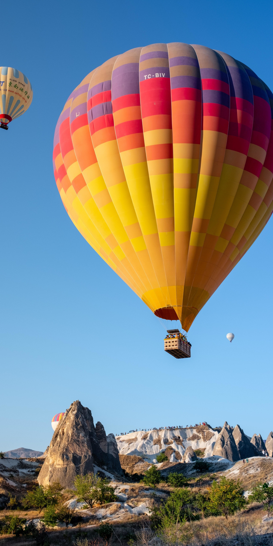 Hot air balloon, colorful, sky, flight, 1080x2160 wallpaper