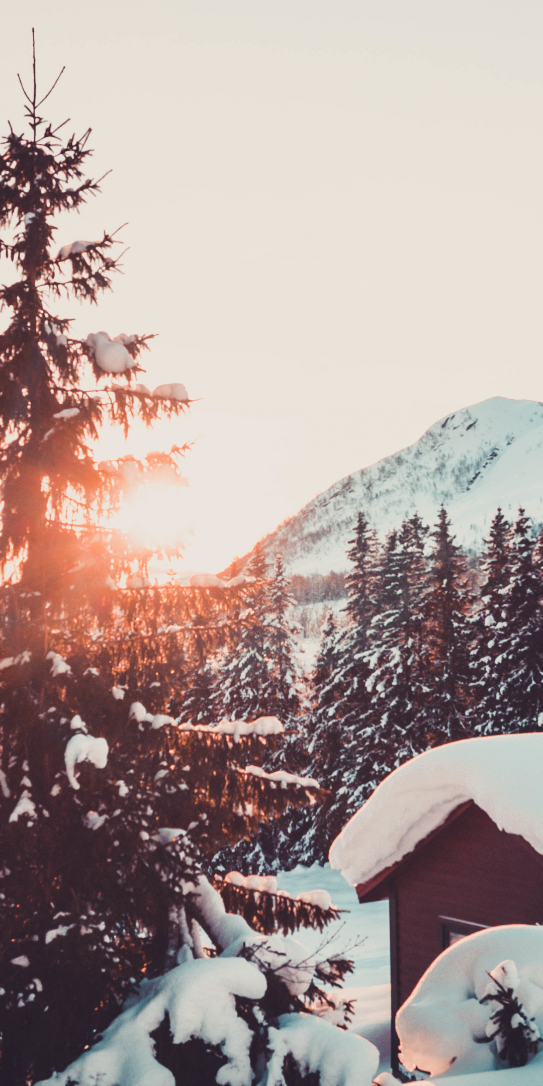 Cabin, winter, snowfall, tree and mountains, sunrise, 1080x2160 wallpaper