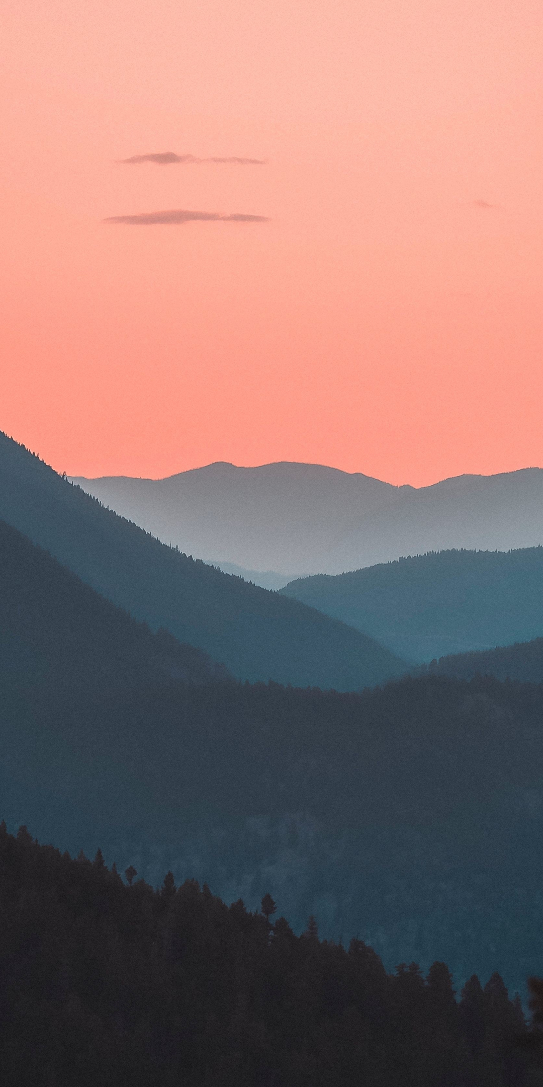 Mountains, horizon, forest, sunset, dusk, 1080x2160 wallpaper