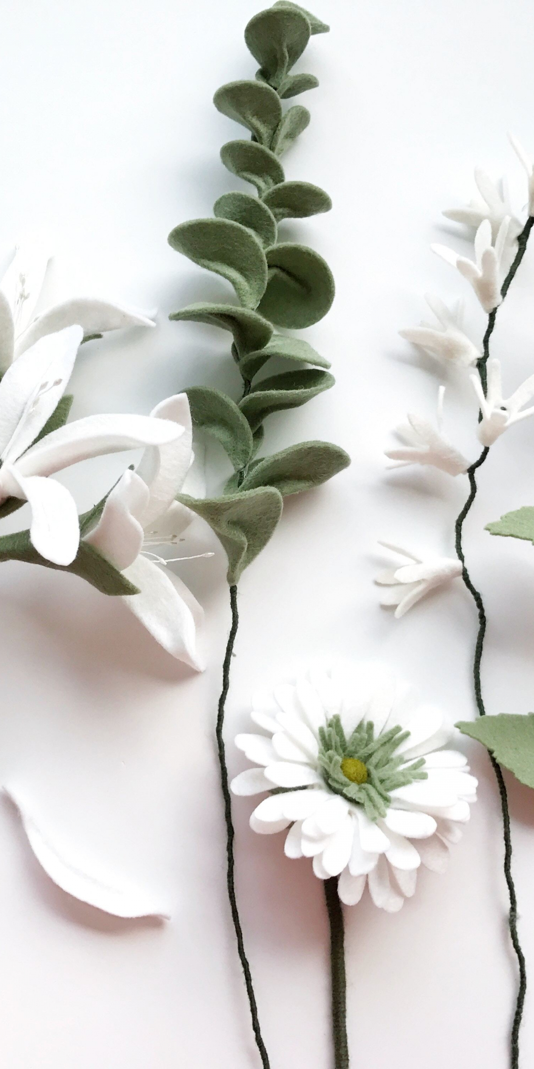 White flowers, green leaves, fresh, 1080x2160 wallpaper