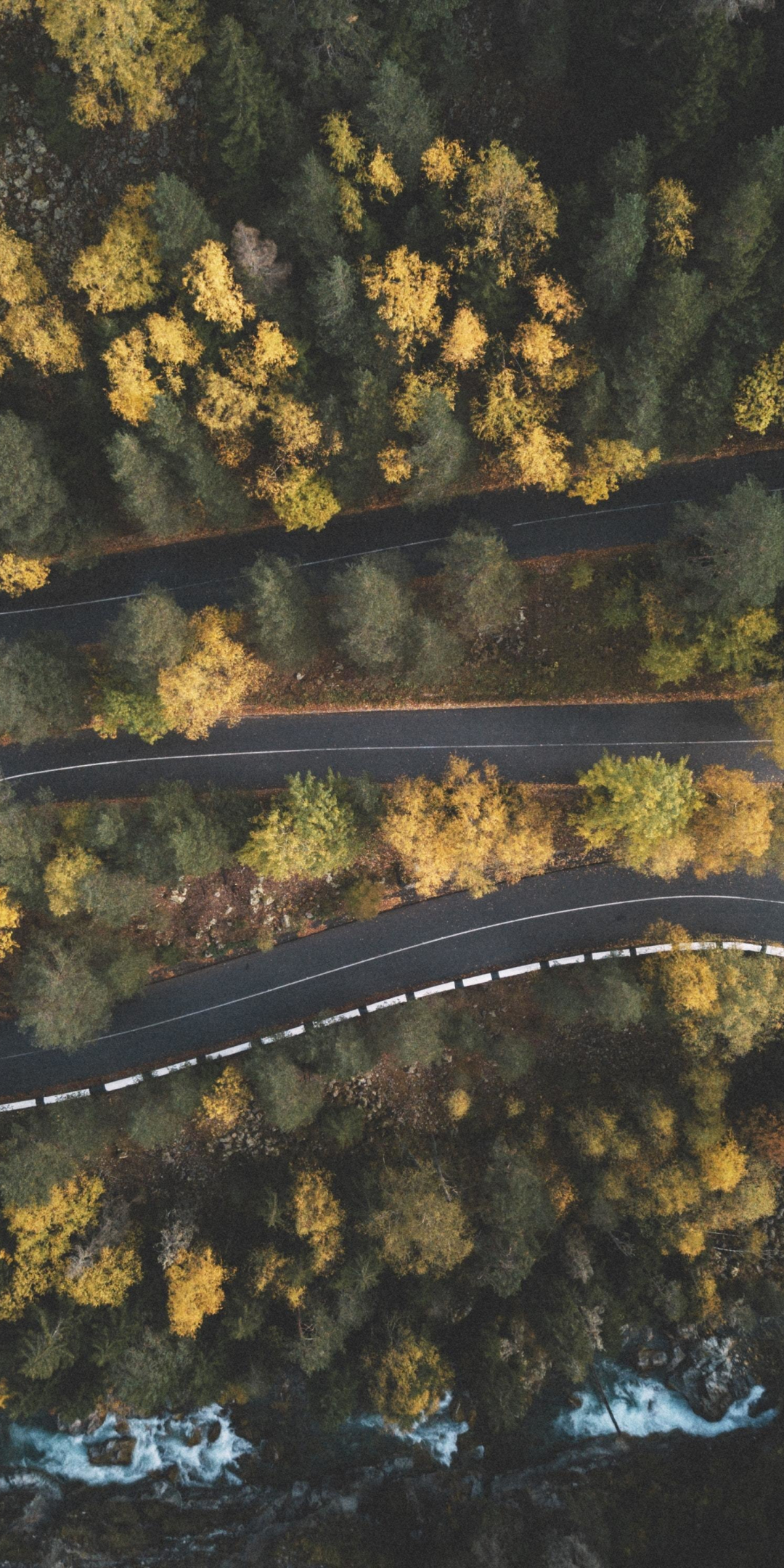 Curves, turns, highway, aerial view, green trees, nature, 1080x2160 wallpaper