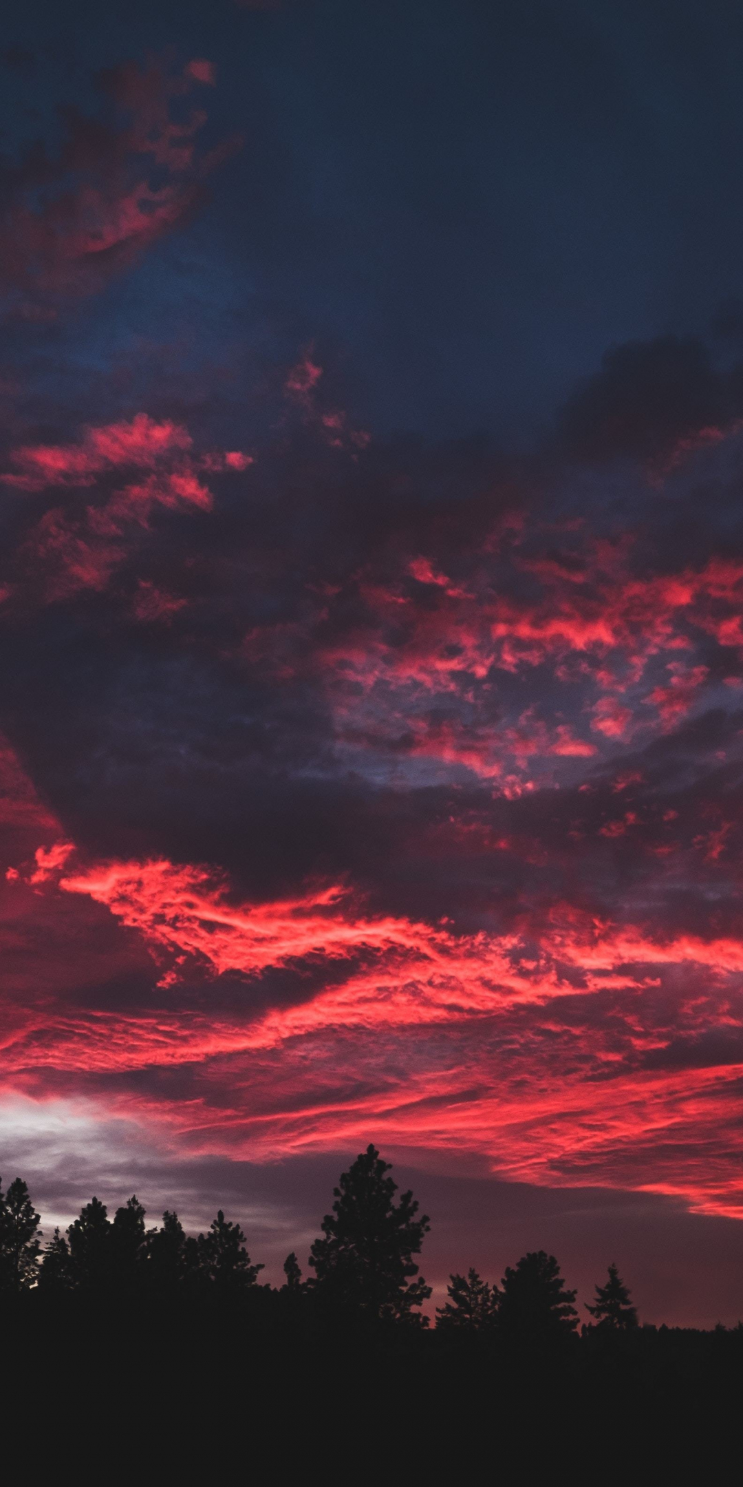 Colorful, clouds, sunset, dark, tree, 1080x2160 wallpaper