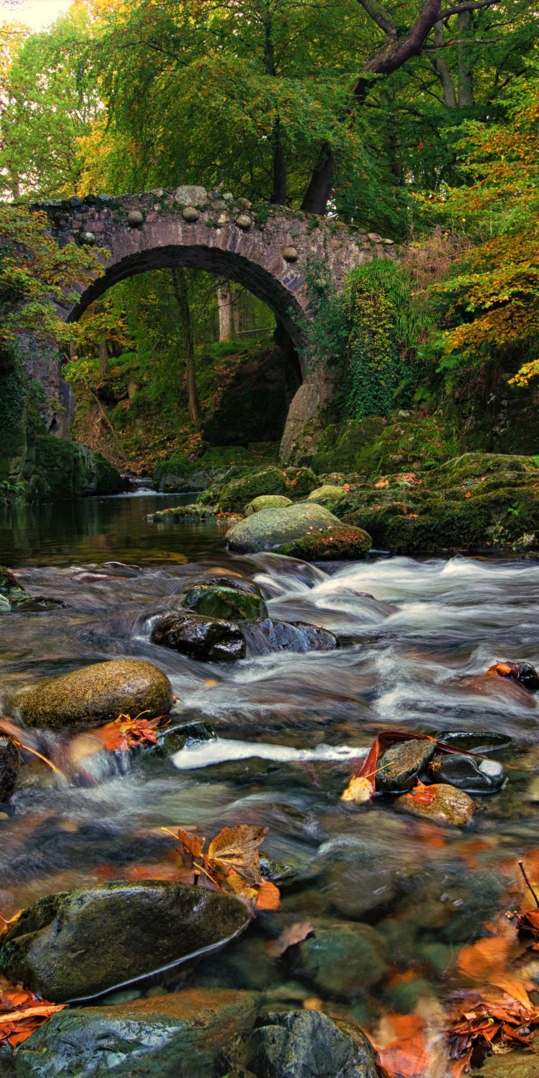 Rocks, bridge, river, nature, 1080x2160 wallpaper