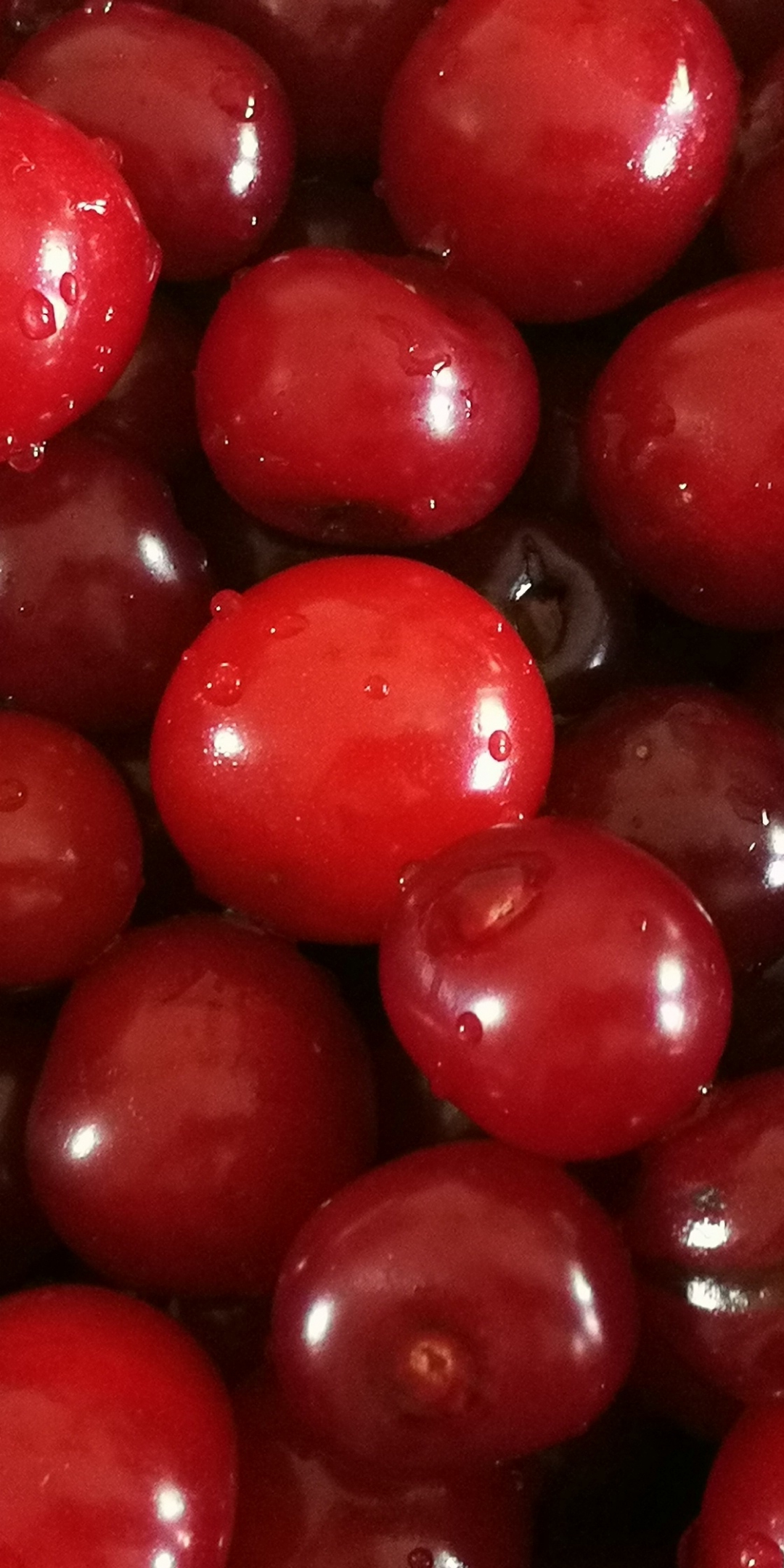 Cherry, fruits, fresh, water drops, red, 1080x2160 wallpaper