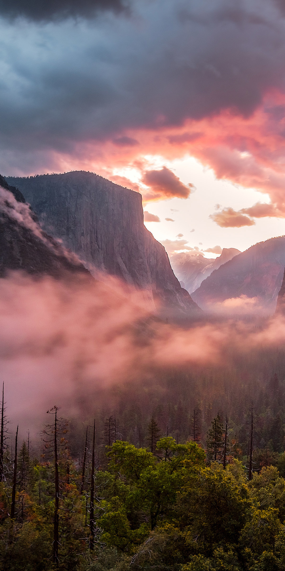 Misty Yosemite Valley, National Park, Fog, Mountains, 1080x2160 wallpaper
