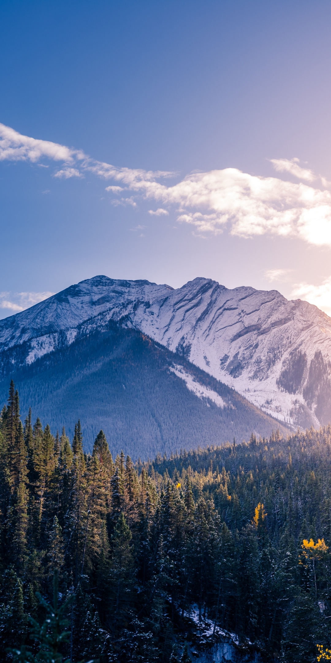 Banff National Park, mountains, forest, trees, sunlight, Canada, 1080x2160 wallpaper