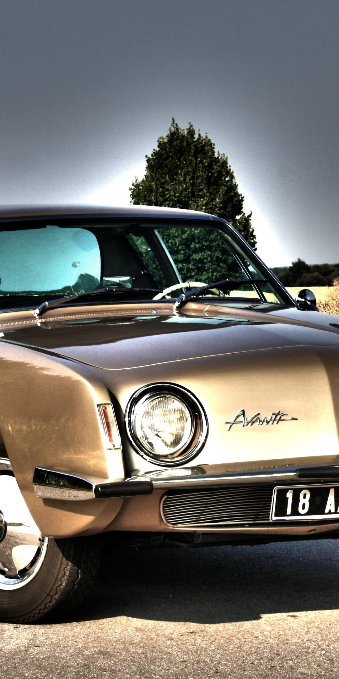 1963 Studebaker Avanti coupe, shining, car, front, 1080x2160 wallpaper