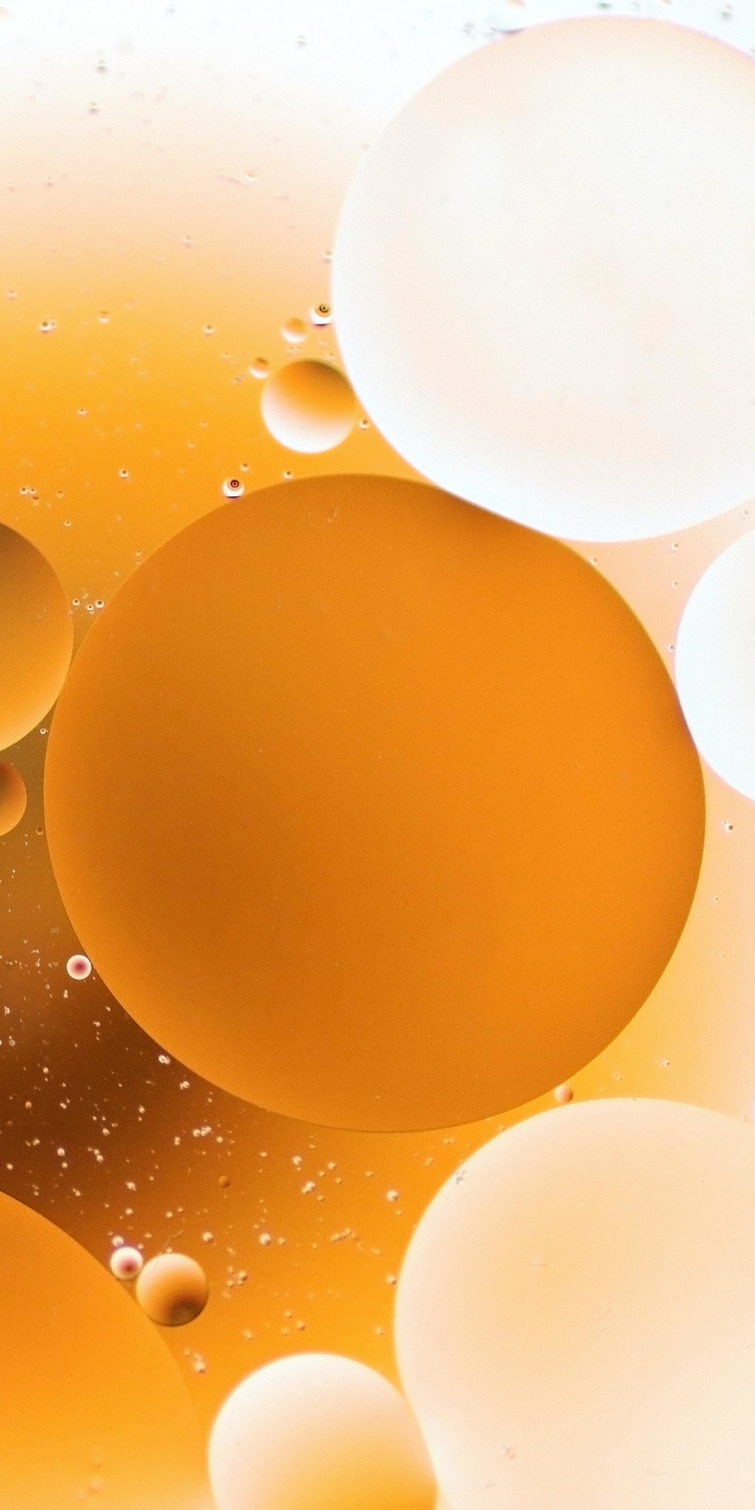 Orange bubbles, macro, 1080x2160 wallpaper