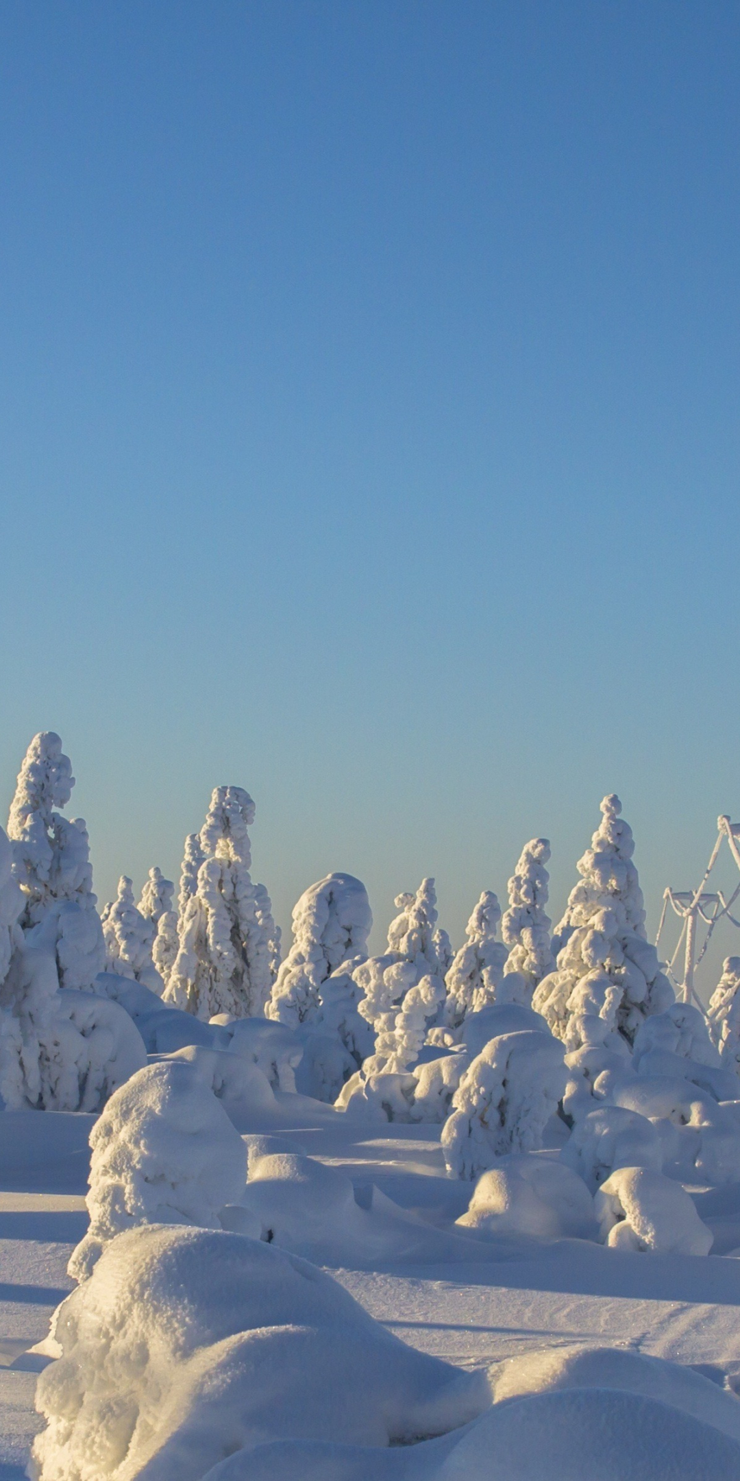Winter, clean sky, trees, island, landscape, electric towers, snowfall, 1080x2160 wallpaper