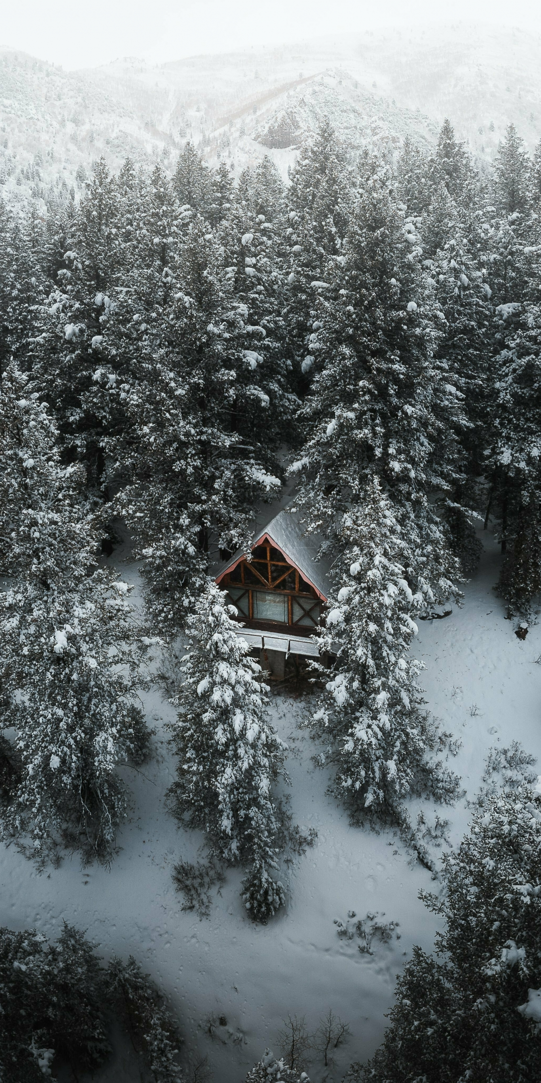 Hut in forest, drone shot, winter, 1080x2160 wallpaper