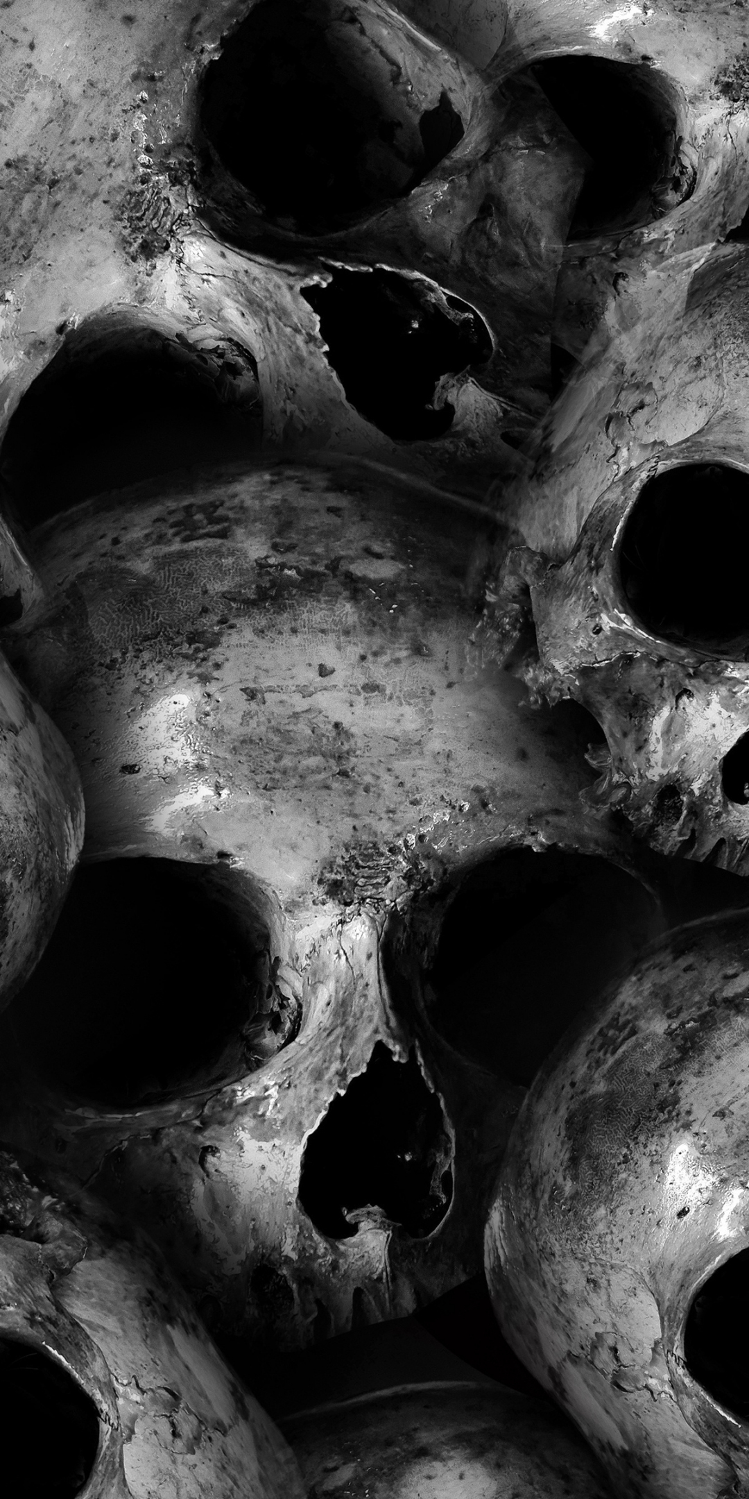 Scary, skulls, dark, 1080x2160 wallpaper