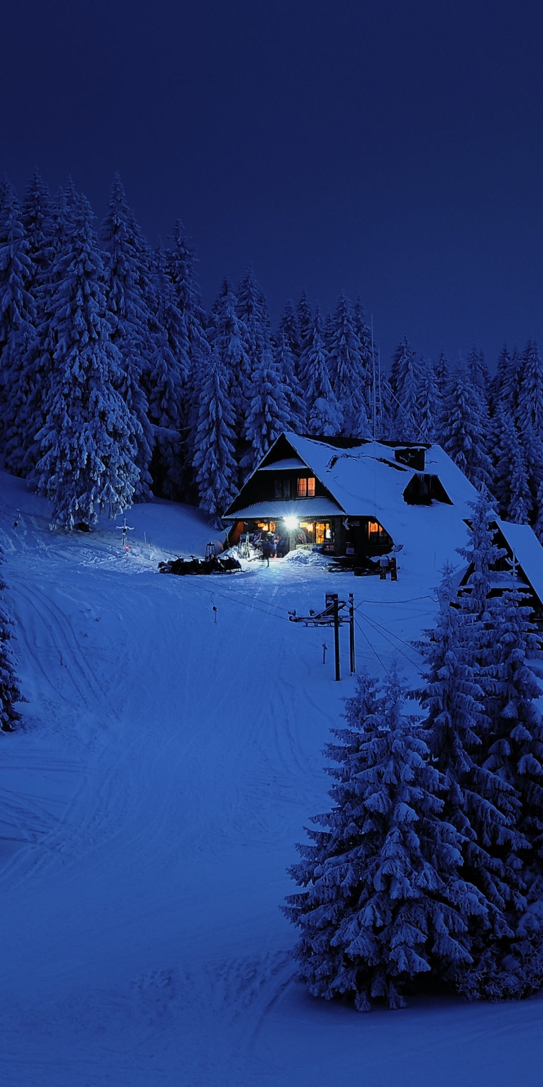 House, night, winter, trees, snow layer, nature, 1080x2160 wallpaper