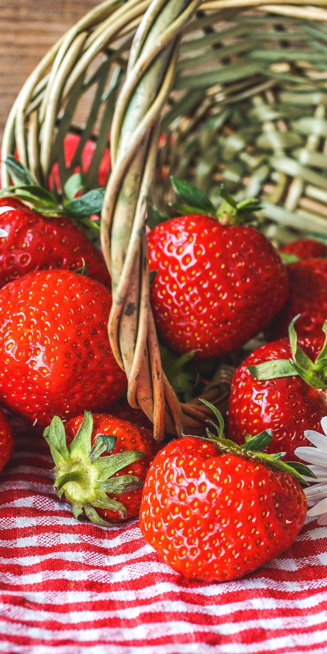 Fresh strawberries, daisies, basket, 1080x2160 wallpaper