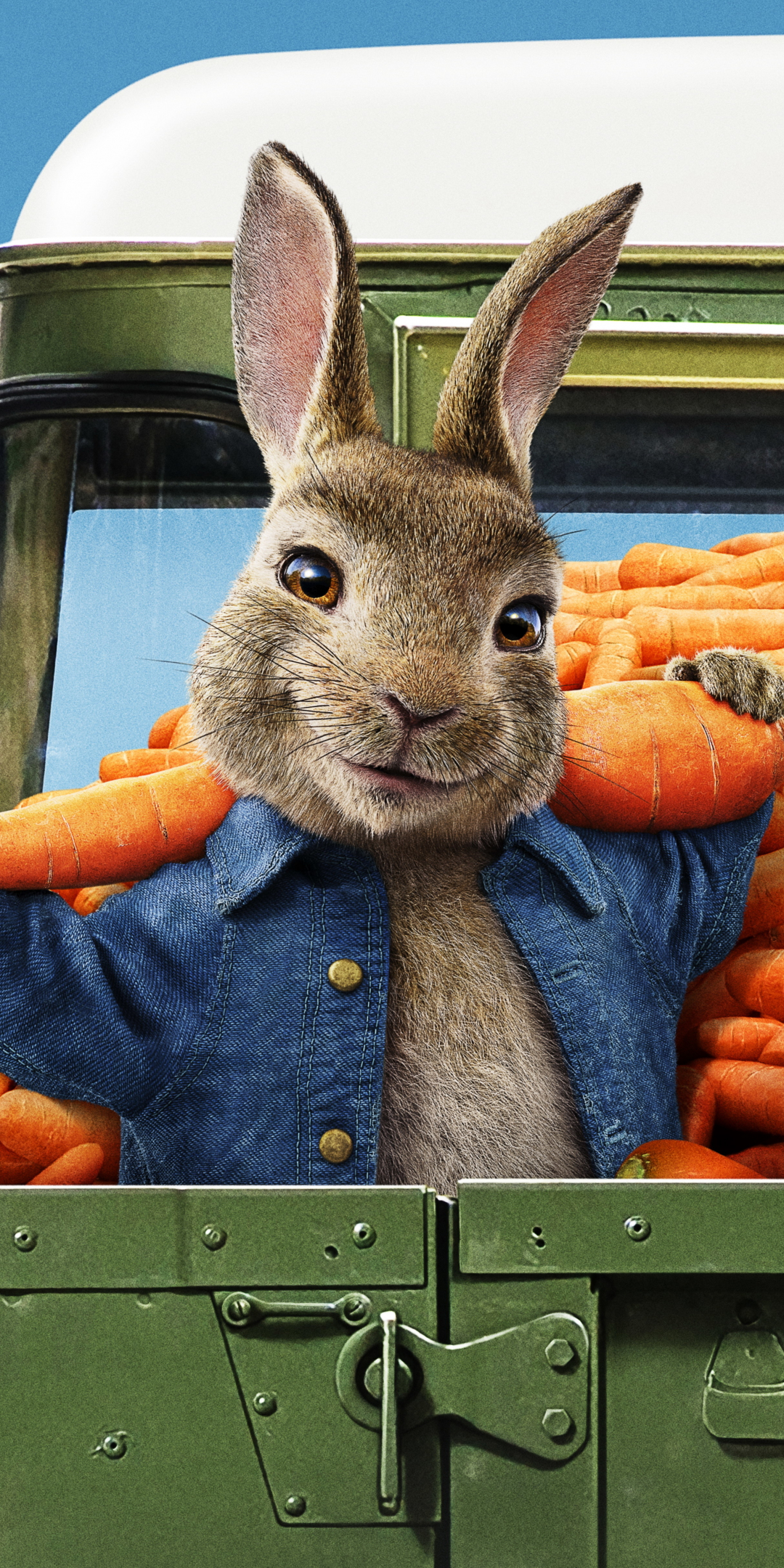 Movie, Peter Rabbit 2: The Runaway, 2020 animation movie, 1080x2160 wallpaper