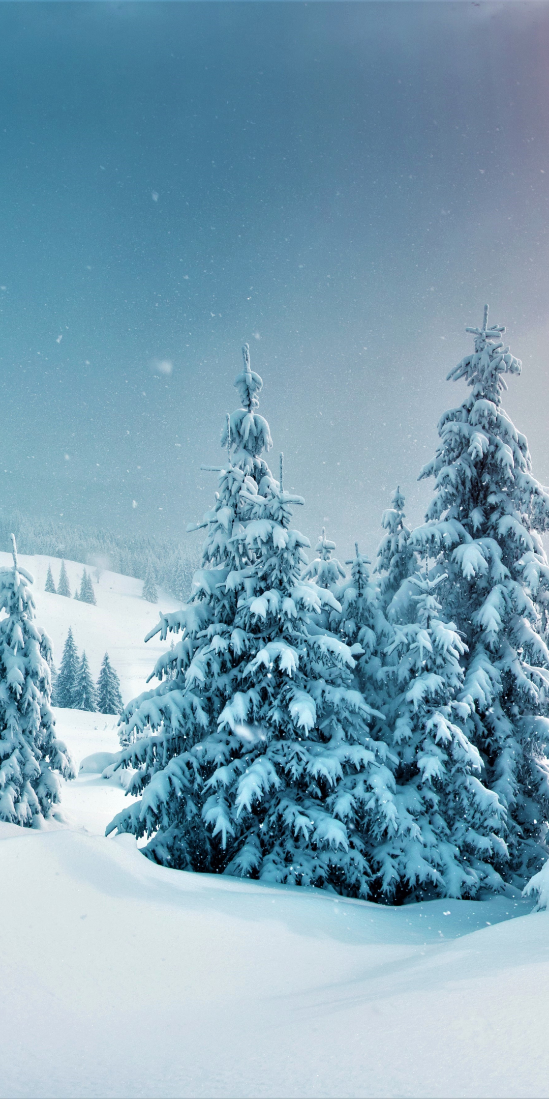 winter, trees, forest, snow, nature, 1080x2160 wallpaper