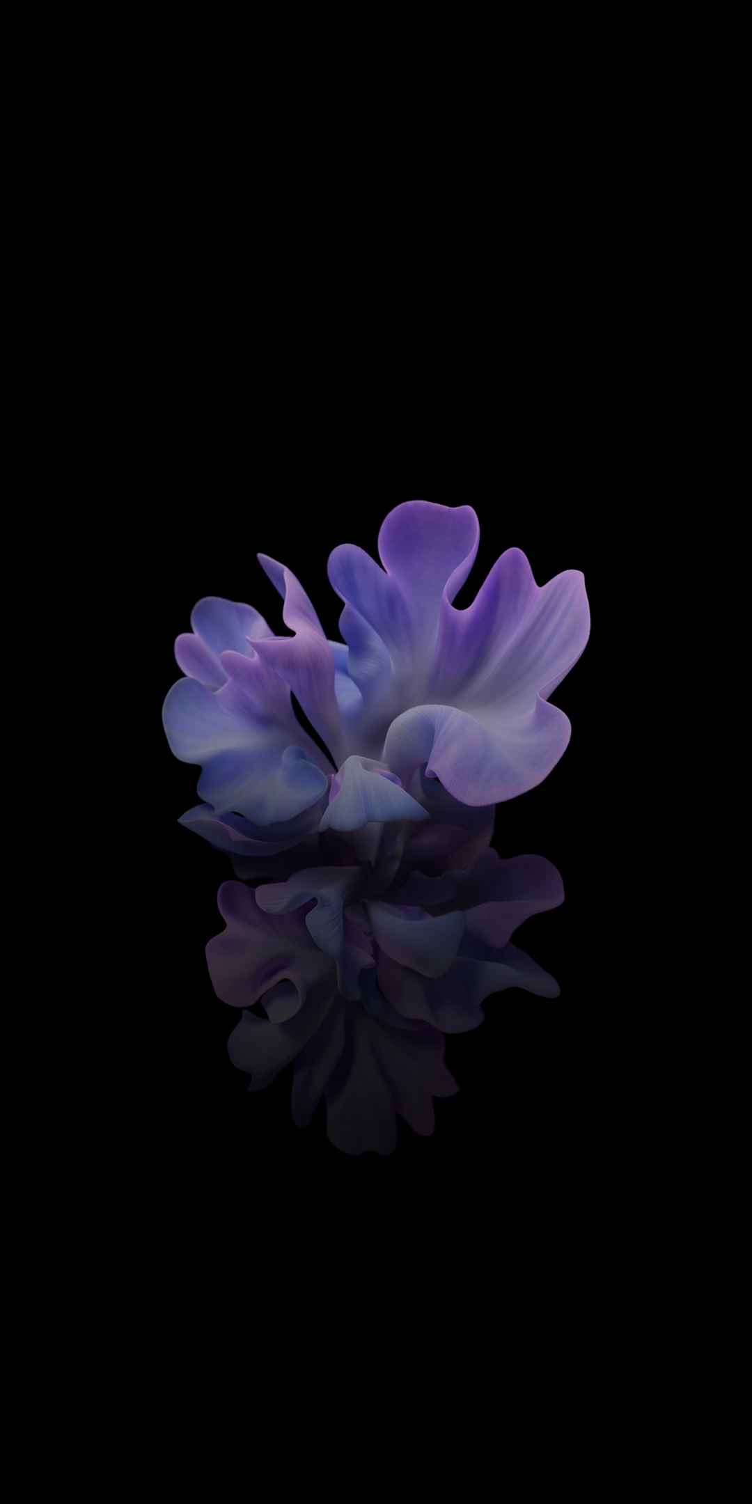 Flower, light-blue, dark, 1080x2160 wallpaper